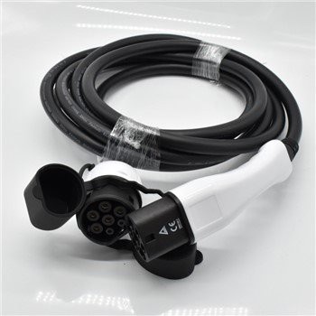 Conjunt de cable de càrrega tipus 2 Ev